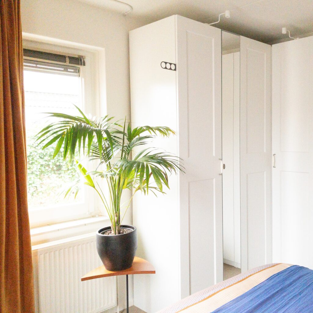 Kleuradvies en Kastontwerp gelijkvloers wonen